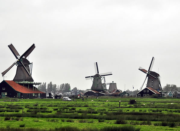 荷兰最具特色的景观：风车村、羊角村